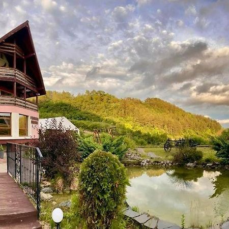 Pensiunea Armonia Nădăşelu Dış mekan fotoğraf
