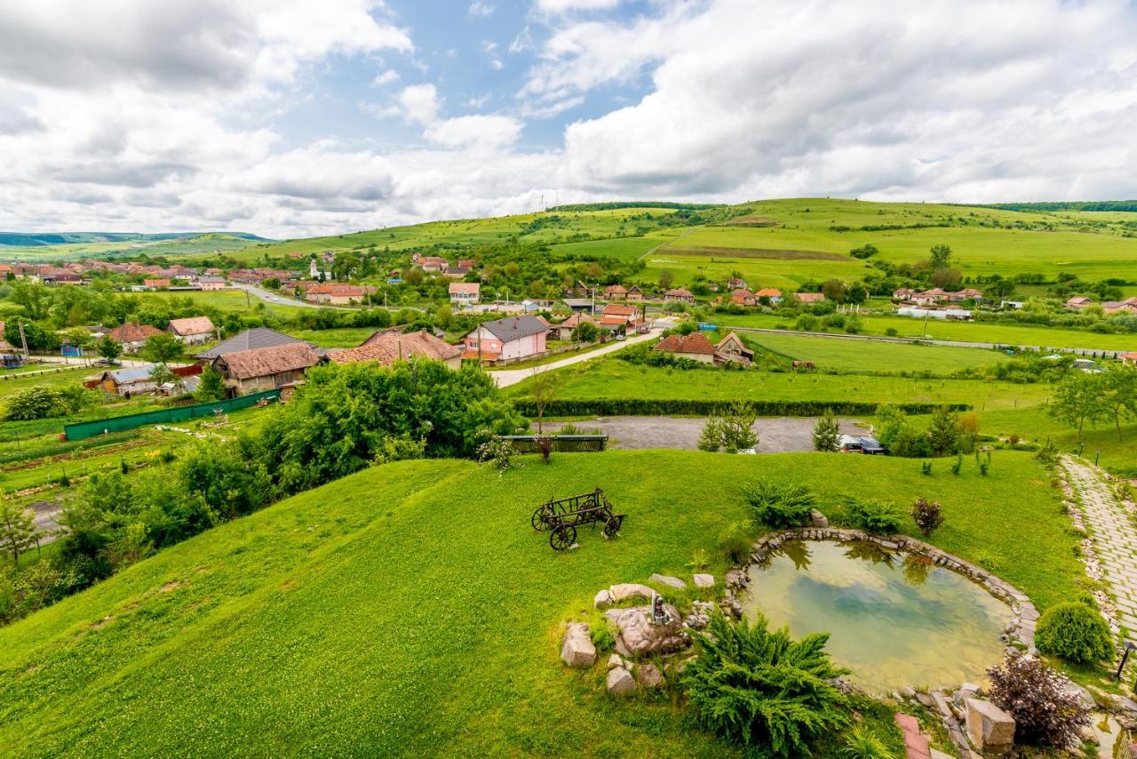 Pensiunea Armonia Nădăşelu Dış mekan fotoğraf
